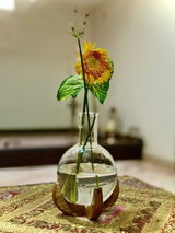 Sachidananda K review photo