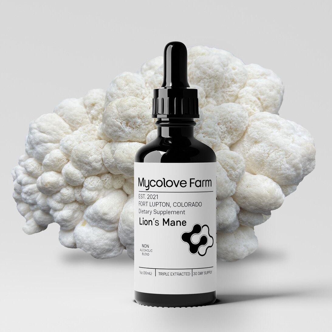 Schwertner M review photo