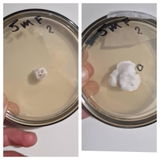 Etsy c. review photo