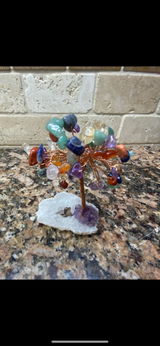 Janine Hohner review photo