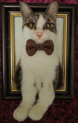Sven review photo