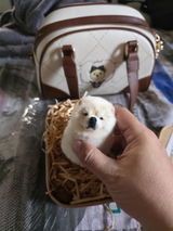 Shirlyochangco review photo