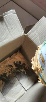 Sameer M. review photo