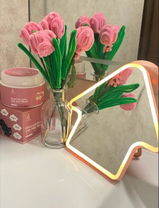 Home Style LED Light Vanity Mirror | 3-Tone Smart Touch Lighting