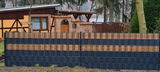 Frank Burghardt review photo