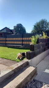 Claudia Geist review photo
