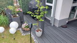 Dirk Wiese review photo
