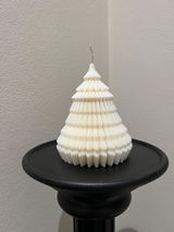 roz fahmy review photo