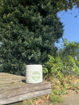 Matcha Cérémonie Bio