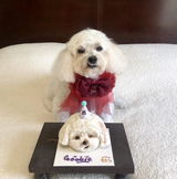 Vivian (Goobie) review photo