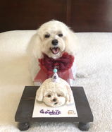 Vivian (Goobie) review photo