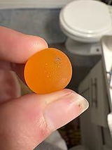 Scarlett V. review photo