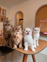 โคลบี้ อิอิ review photo