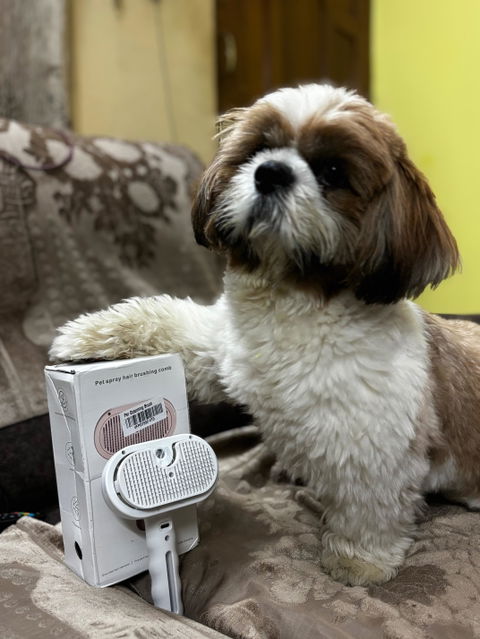 Pet Grooming Brush