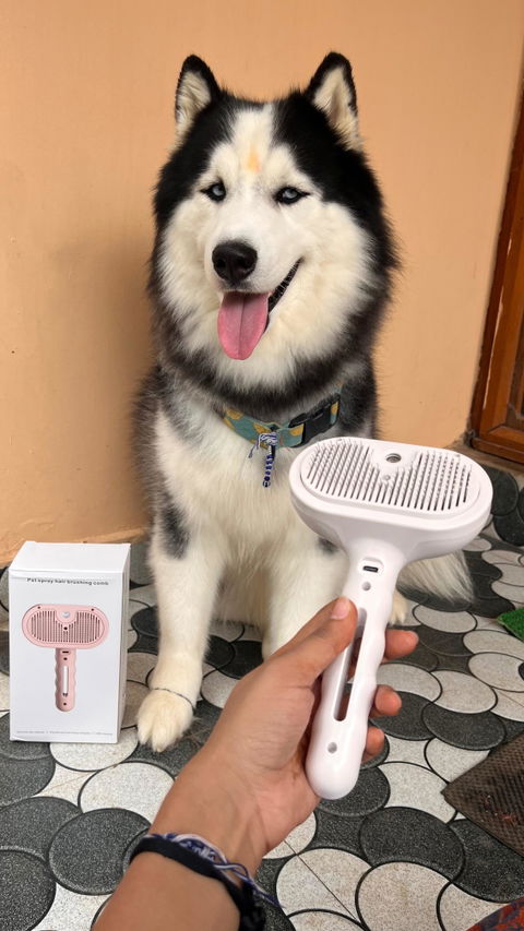 Pet Grooming Brush