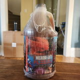 Sav Jonsa review photo