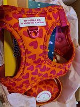 Maria Luisa Dominguez Romero review photo