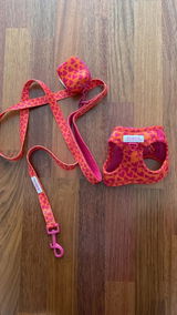 Irene Valhondo Rayo review photo
