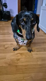 Estela review photo