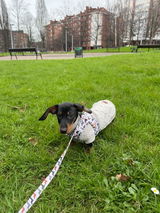 Noelia review photo