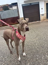 Kimba R review photo