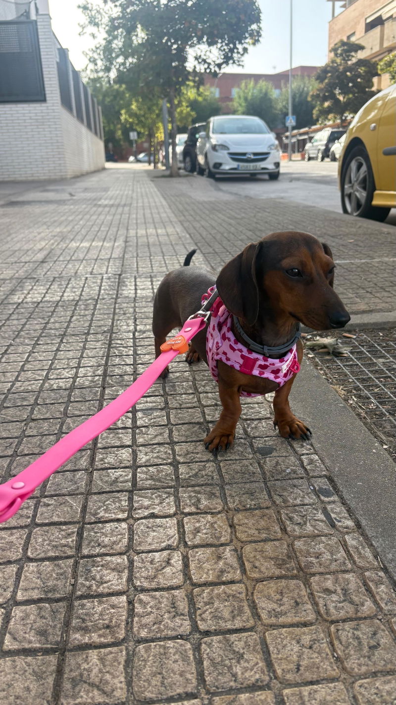 María L.