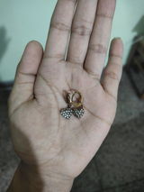 Sapna Bhandari review photo