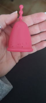 E.V. review photo