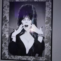Elvira Mistress of the Dark Horror Poster