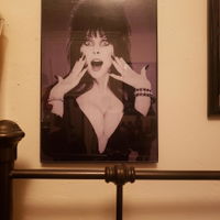 Elvira Mistress of the Dark Horror Poster