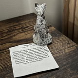 Allie Fitzsimmons review photo