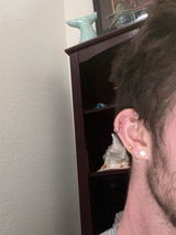 Mark Brickell review photo