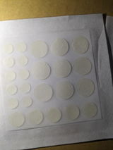 Daisy review photo