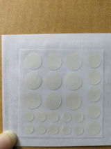 Daisy review photo