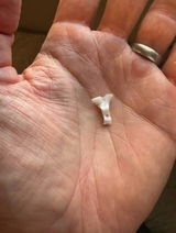 Chad C review photo