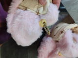 Lucy H. review photo