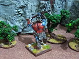 Andy Phillips review photo