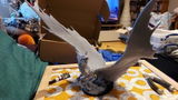 Etsy customer review photo