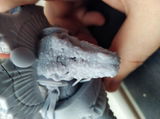 Etsy customer review photo
