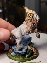 Etsy customer review photo