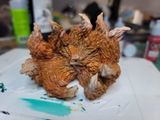 Etsy customer review photo