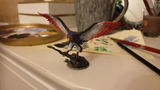 Etsy customer review photo