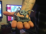 Etsy customer review photo