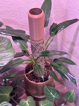 E.c. review photo