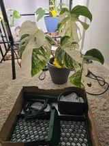 E.c. review photo