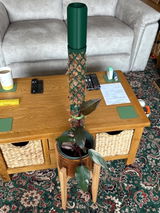 E.c. review photo