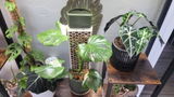 E.c. review photo