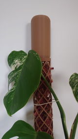 E.c. review photo
