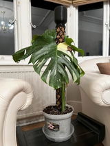 E.c. review photo
