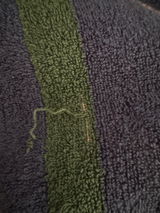 k review photo